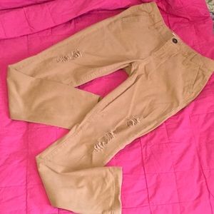 BKE Casual Mollie Pants